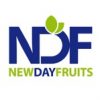 New-Day-Fruits